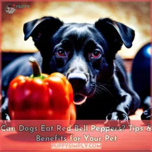 can dogs eat red bell peppers