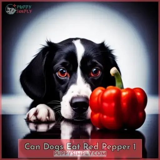 can dogs eat red pepper 1