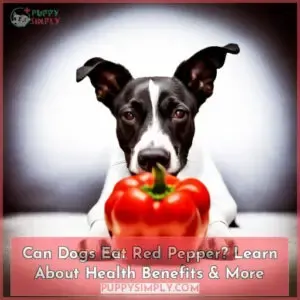 can dogs eat red pepper