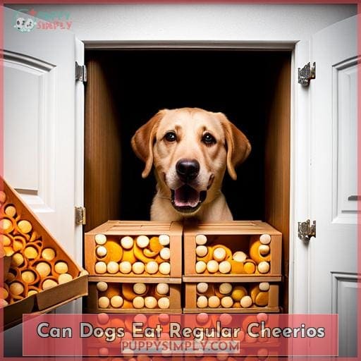 Can Dogs Eat Regular Cheerios