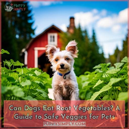 what vegetables can dogs eat safely