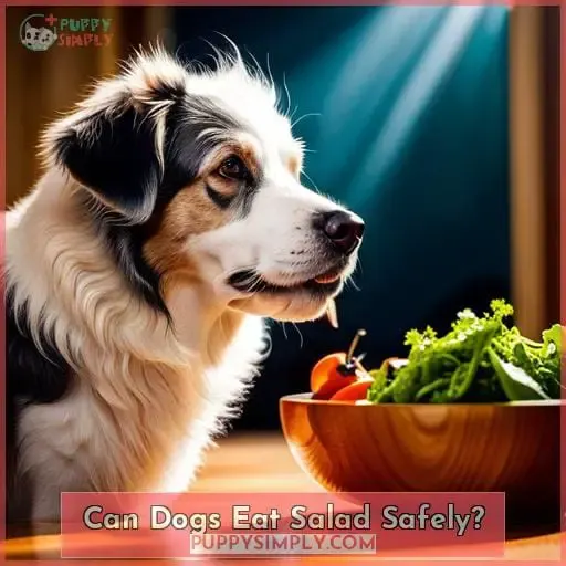 Can Dogs Eat Salad Safely