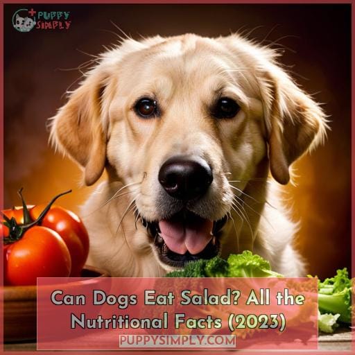 Can Dogs Eat Salad? All the Nutritional Facts (2023)