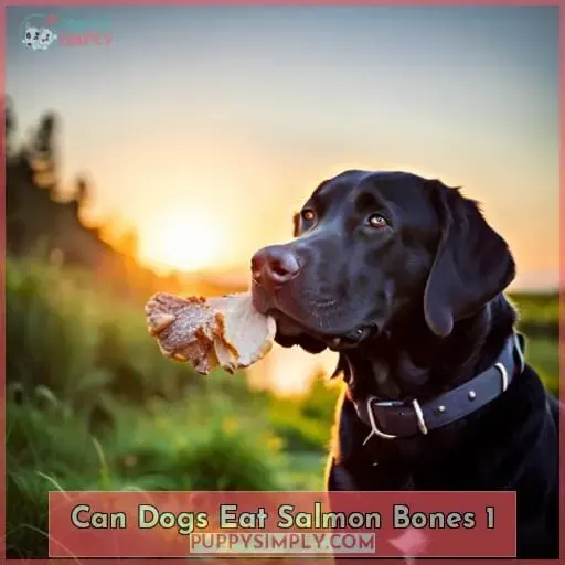 can dogs eat salmon bones 1