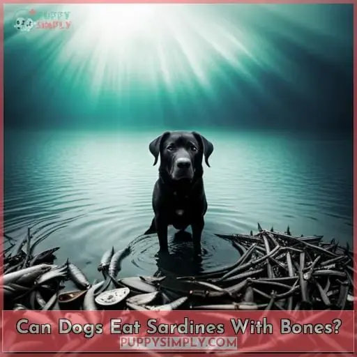 Can Dogs Eat Sardines With Bones?