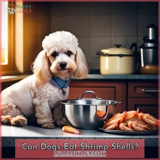Can Dogs Eat Shrimp Shells