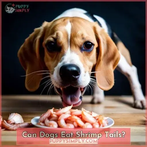 Can Dogs Eat Shrimp Tails