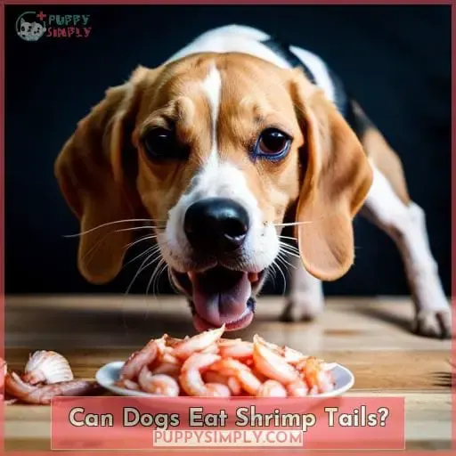 Can Dogs Eat Shrimp? Risks & Benefits for Your Dog