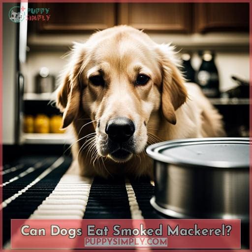 Can Dogs Eat Canned Mackerel in Olive Oil? A Seafood Treat for Pups!