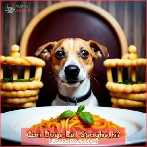 Can Dogs Eat Spaghetti? 2