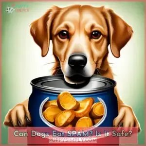 can dogs eat spam