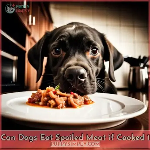 can dogs eat spoiled meat if cooked 1