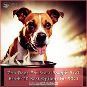can dogs eat store bought beef broth