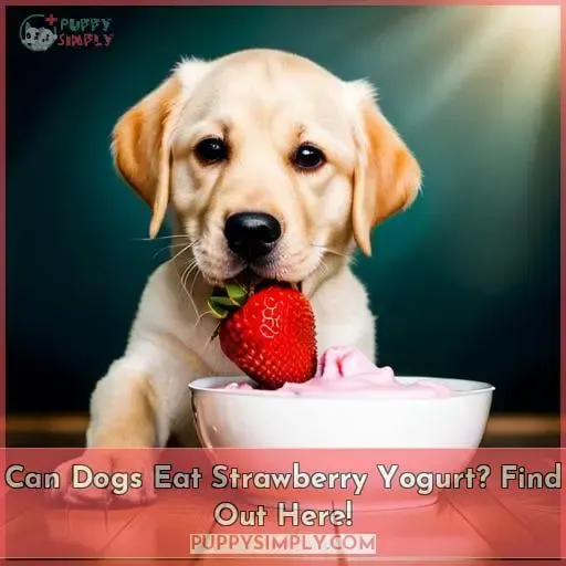 Can Dogs Eat Strawberry Banana Yogurt