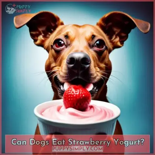 Can Dogs Eat Strawberry Yogurt?