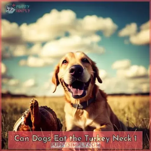can dogs eat the turkey neck 1