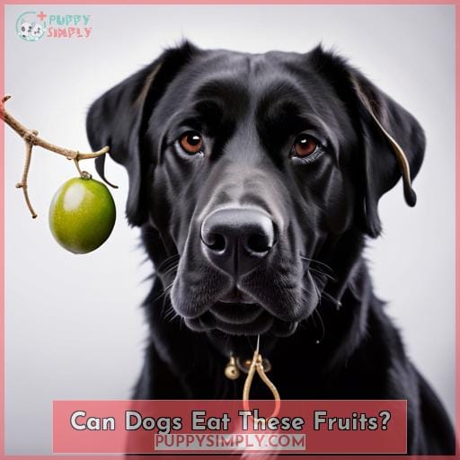 Can Dogs Eat These Fruits
