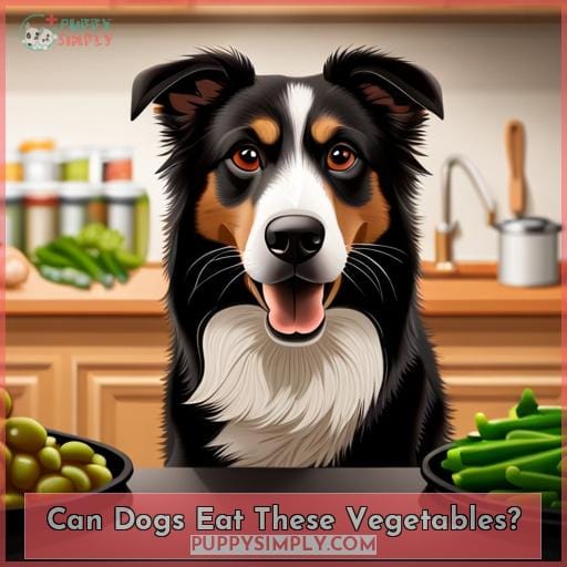 Can Dogs Eat These Vegetables