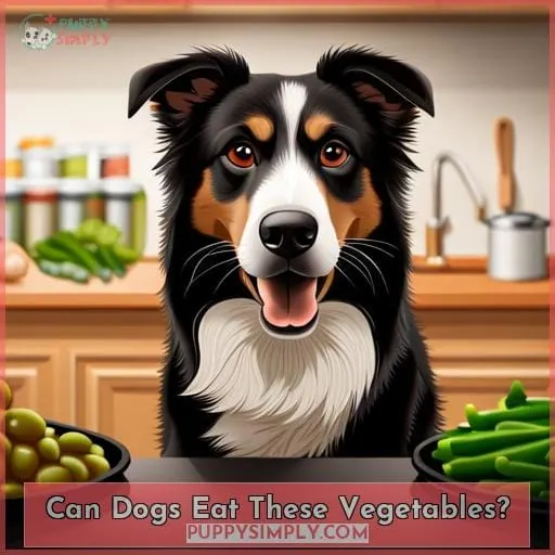 Can Dogs Eat These Vegetables