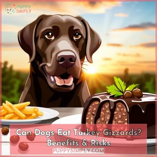 Can Dogs Eat Turkey Gizzards? Benefits & Risks