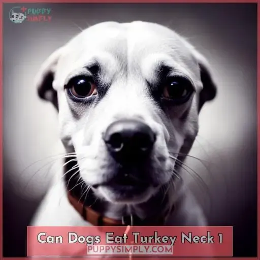 can dogs eat turkey neck 1