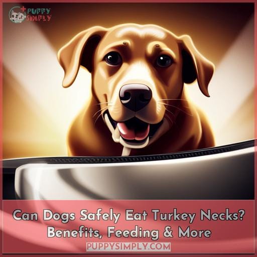 can dogs eat turkey neck