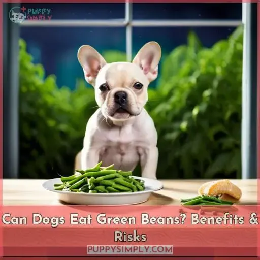 Can Dogs Eat Uncooked Green Beans