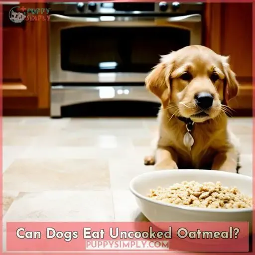 Can Dogs Eat Uncooked Oatmeal