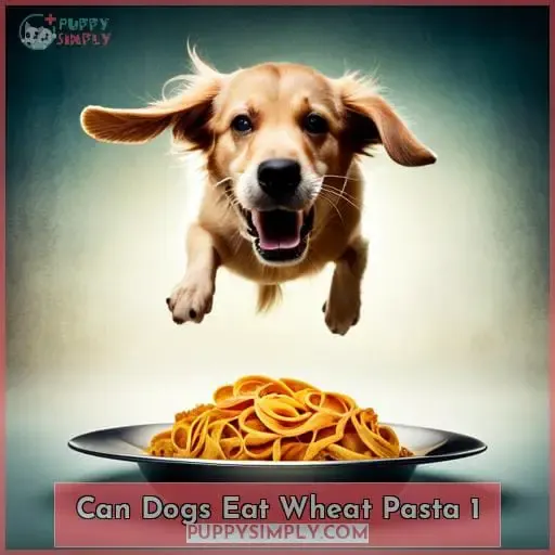 can dogs eat wheat pasta 1