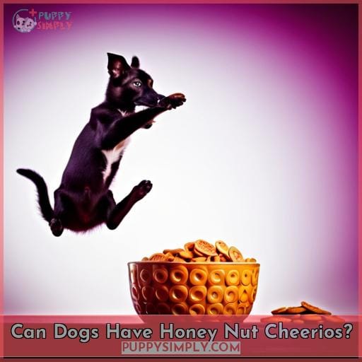 Can Dogs Have Honey Nut Cheerios? Can Dogs Have Honey Nut Cheerios?