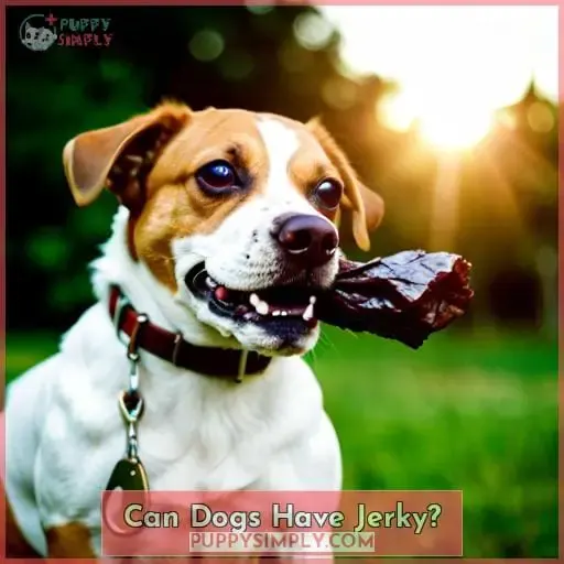 Can Dogs Have Jerky?