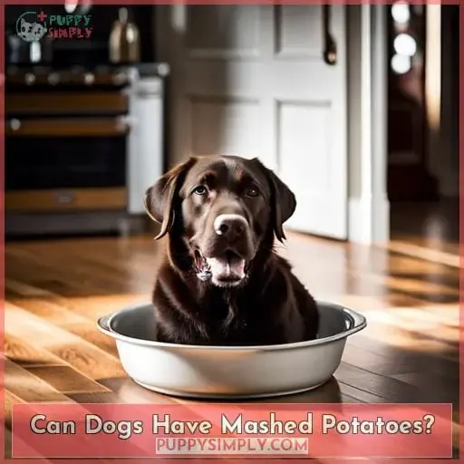 Can Dogs Have Mashed Potatoes