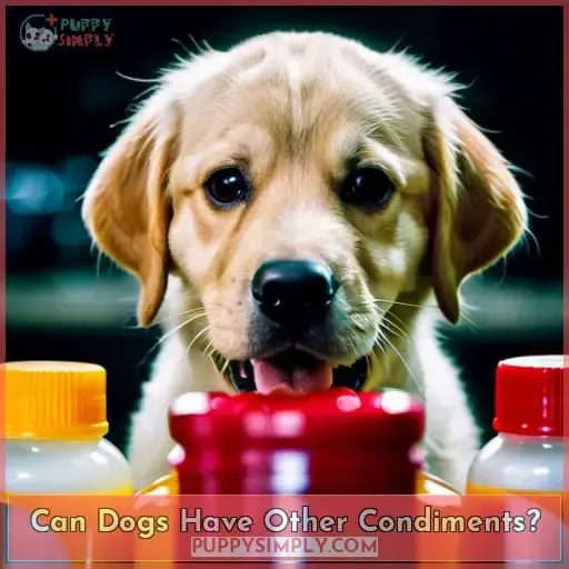 Can Dogs Have Other Condiments?