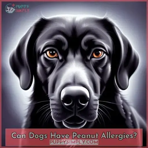 Can Dogs Have Peanut Allergies?