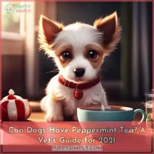 can dogs have peppermint tea