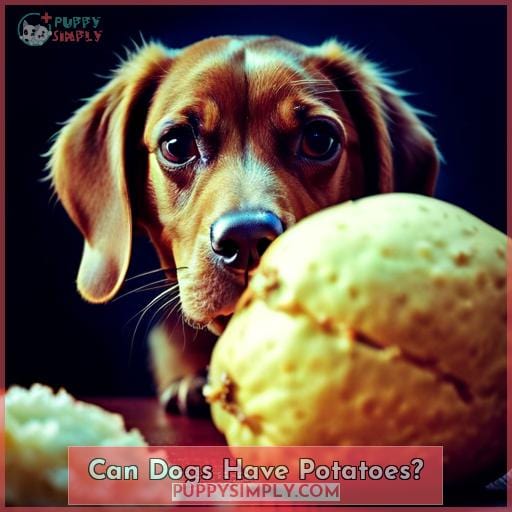 Can Dogs Have Potatoes?