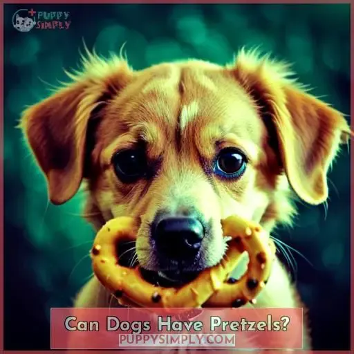 Can Dogs Have Pretzels?
