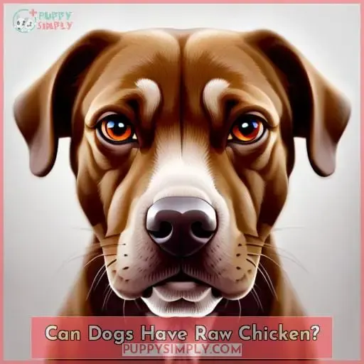 Can Dogs Have Raw Chicken?