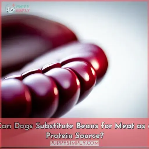 Can Dogs Substitute Beans for Meat as a Protein Source