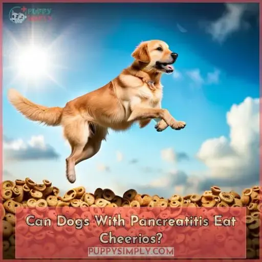 Can Dogs With Pancreatitis Eat Cheerios?