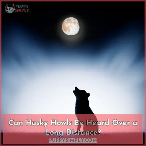 Can Husky Howls Be Heard Over a Long Distance?