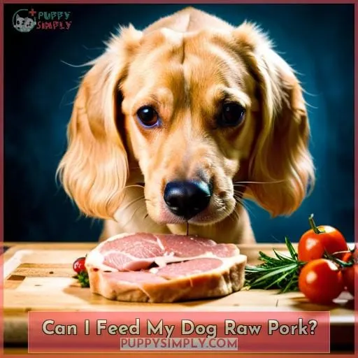 Can I Feed My Dog Raw Pork?