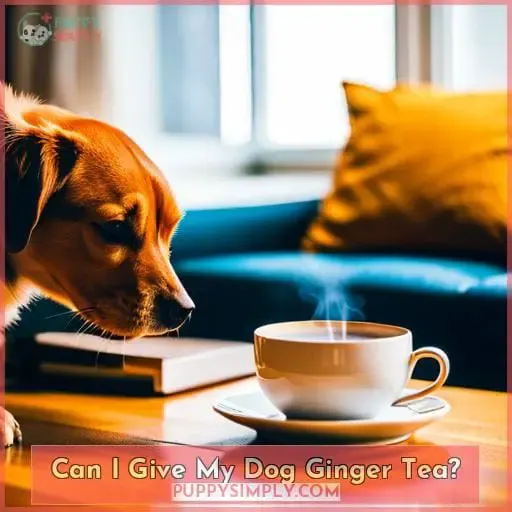 Can I Give My Dog Ginger Tea?