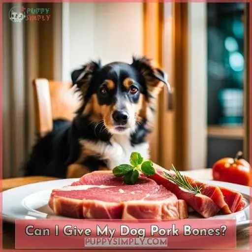 Can I Give My Dog Pork Bones?