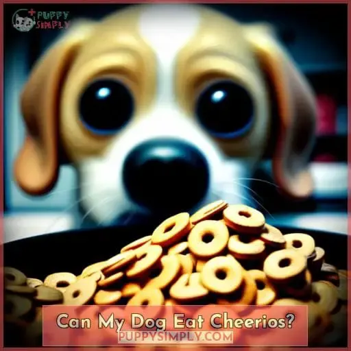 Can My Dog Eat Cheerios?