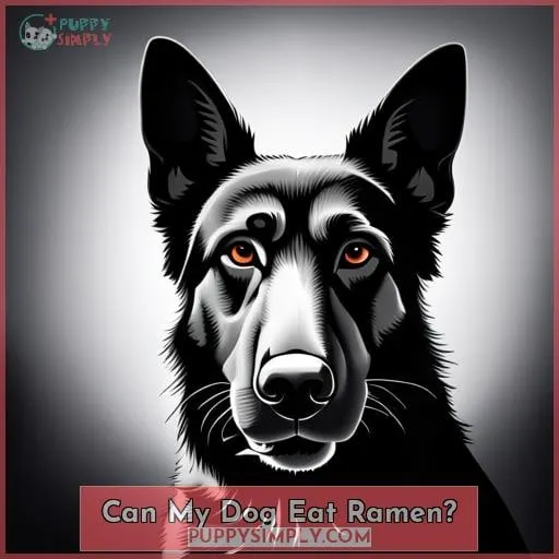 Can My Dog Eat Ramen?