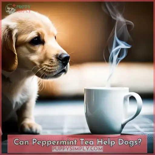Can Peppermint Tea Help Dogs