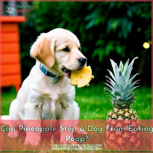 Can Pineapple Stop a Dog From Eating Poop