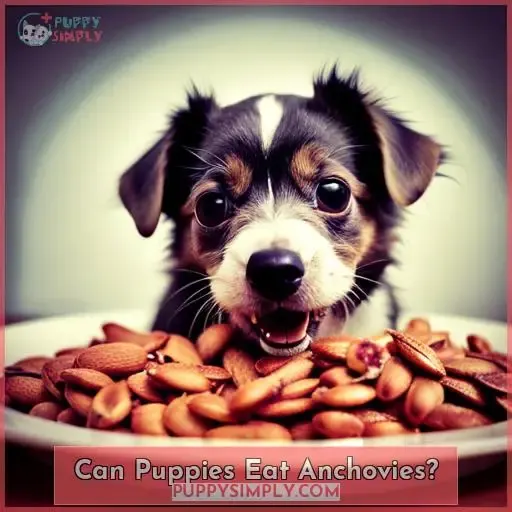 Can Puppies Eat Anchovies?