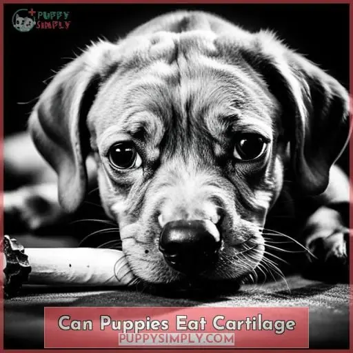 Can Puppies Eat Cartilage?